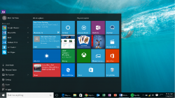Microsoft Windows 10 Pro - 098450